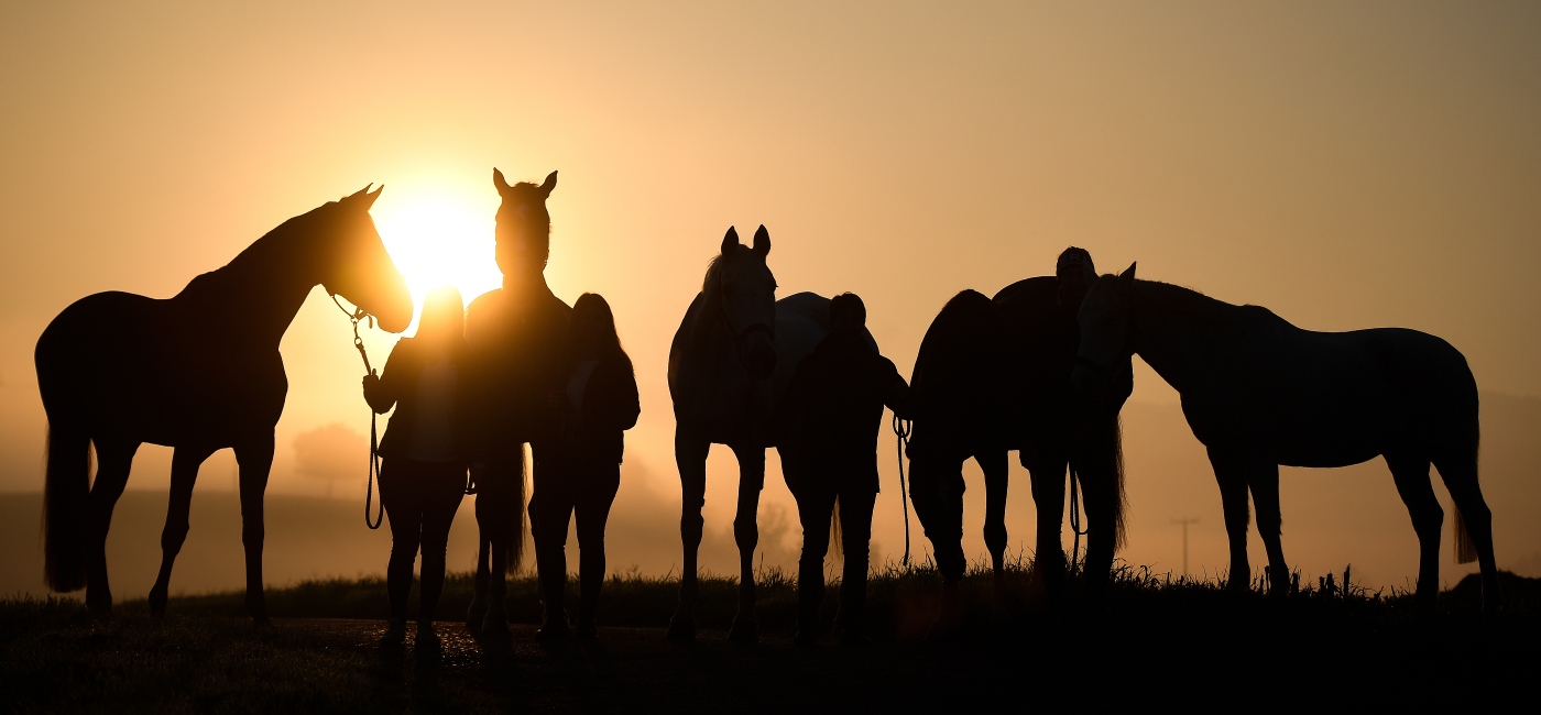Reitergruppe im Sonnenuntergang
